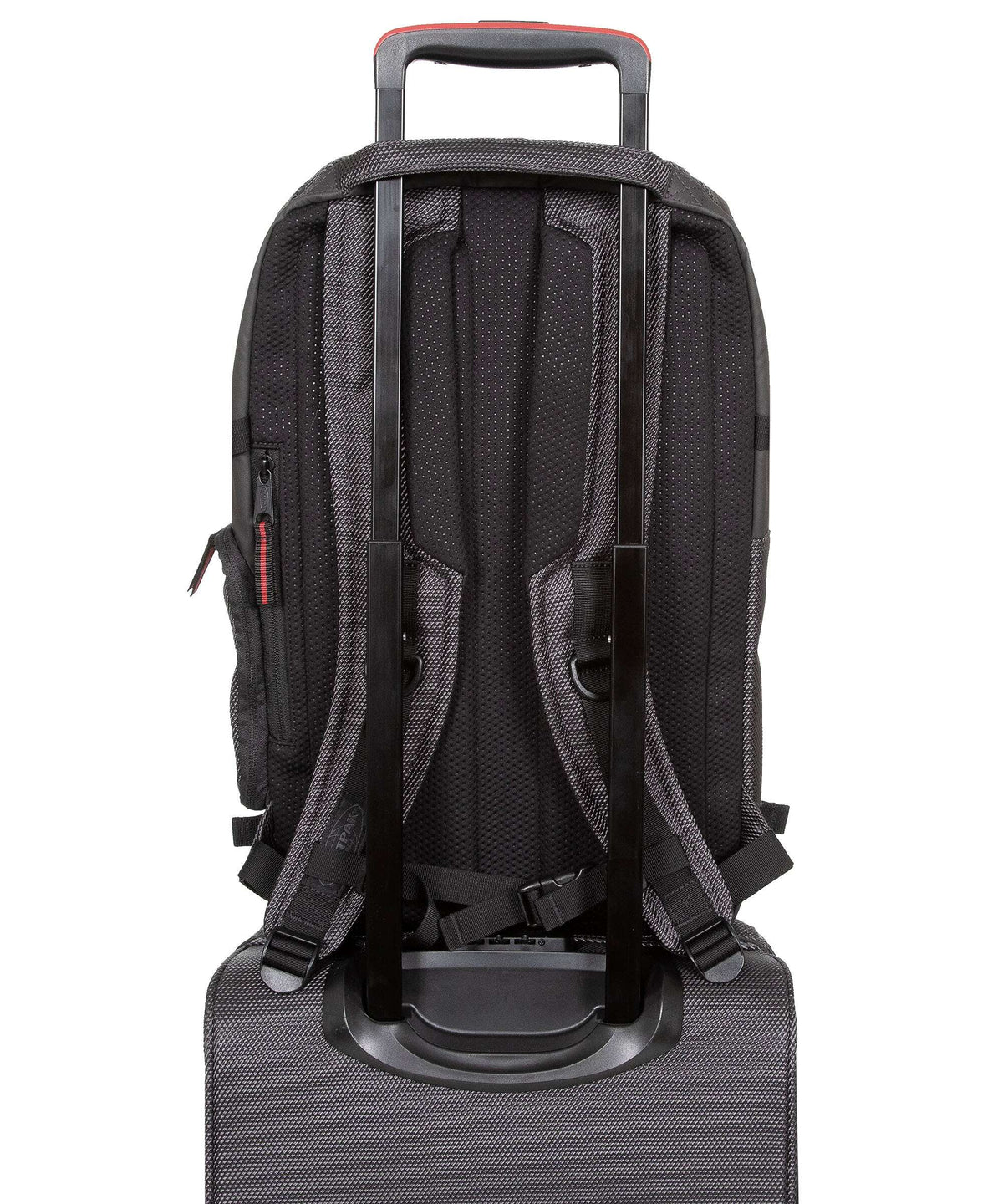 Eastpak Tecum M Backpack cnnct accent grey
