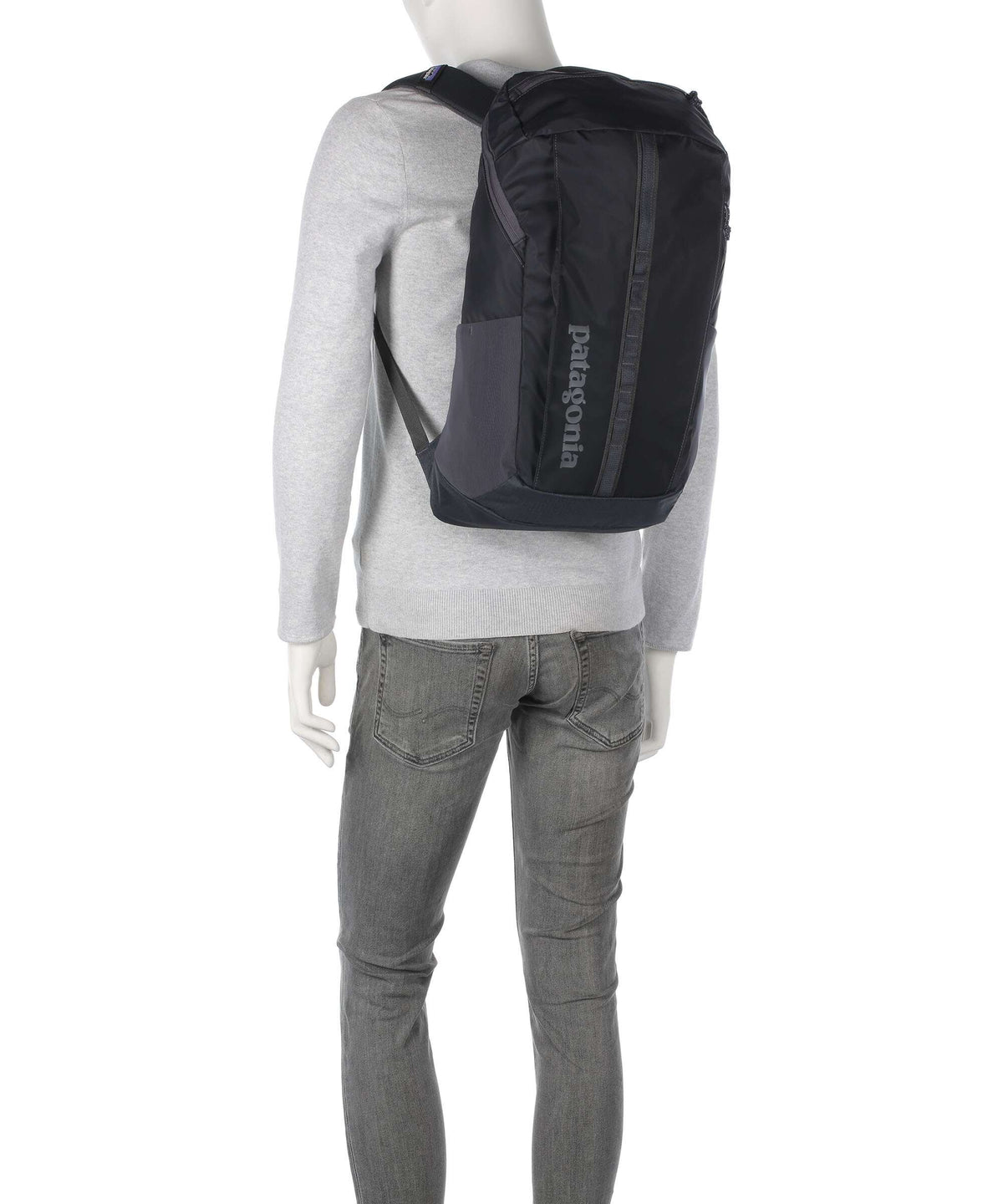 Patagonia Black Hole 25 Backpack sastrugi/summit blue