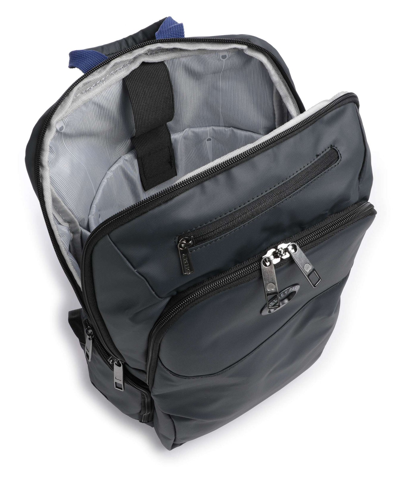 Delsey Paris Parvis Plus Backpack grau