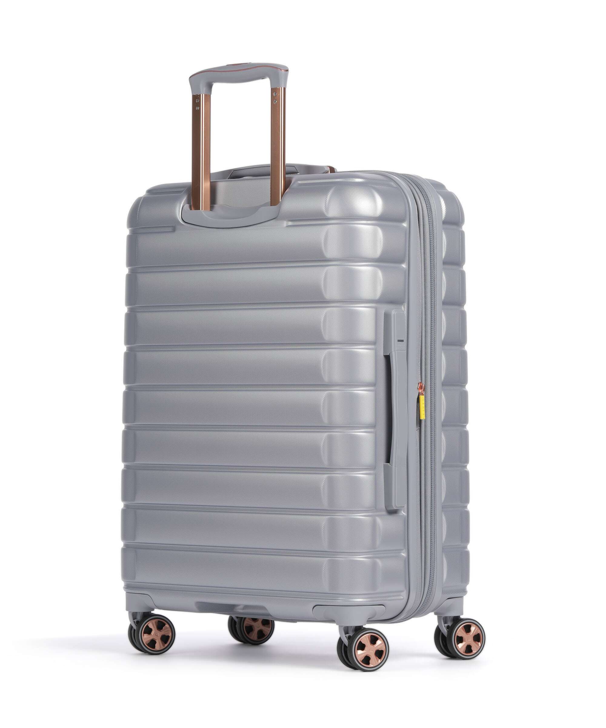 Delsey Paris Shadow 5.0 Spinner (4 wheels) platinum