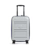 Delsey Paris Rempart Trolley (4 wielen) sturmgrau