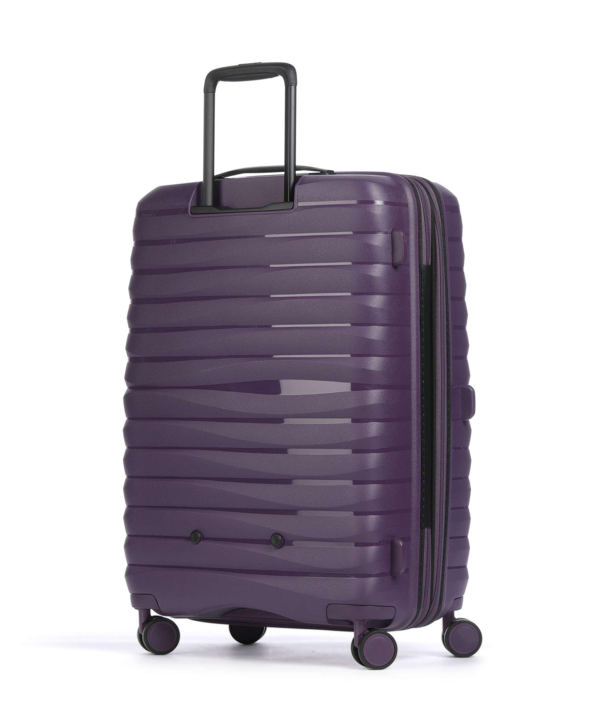 Jump Xwave Spinner (4 wheels) purple