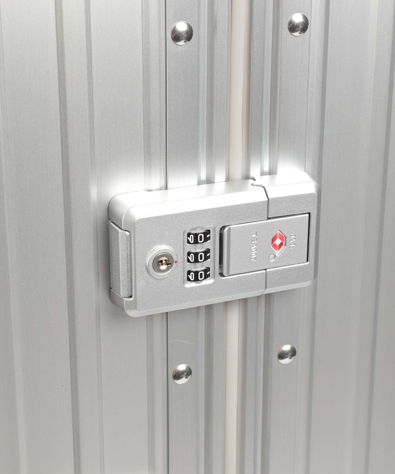 Aleon Classic 26 Traveler Spinner (4 wheels) platinum