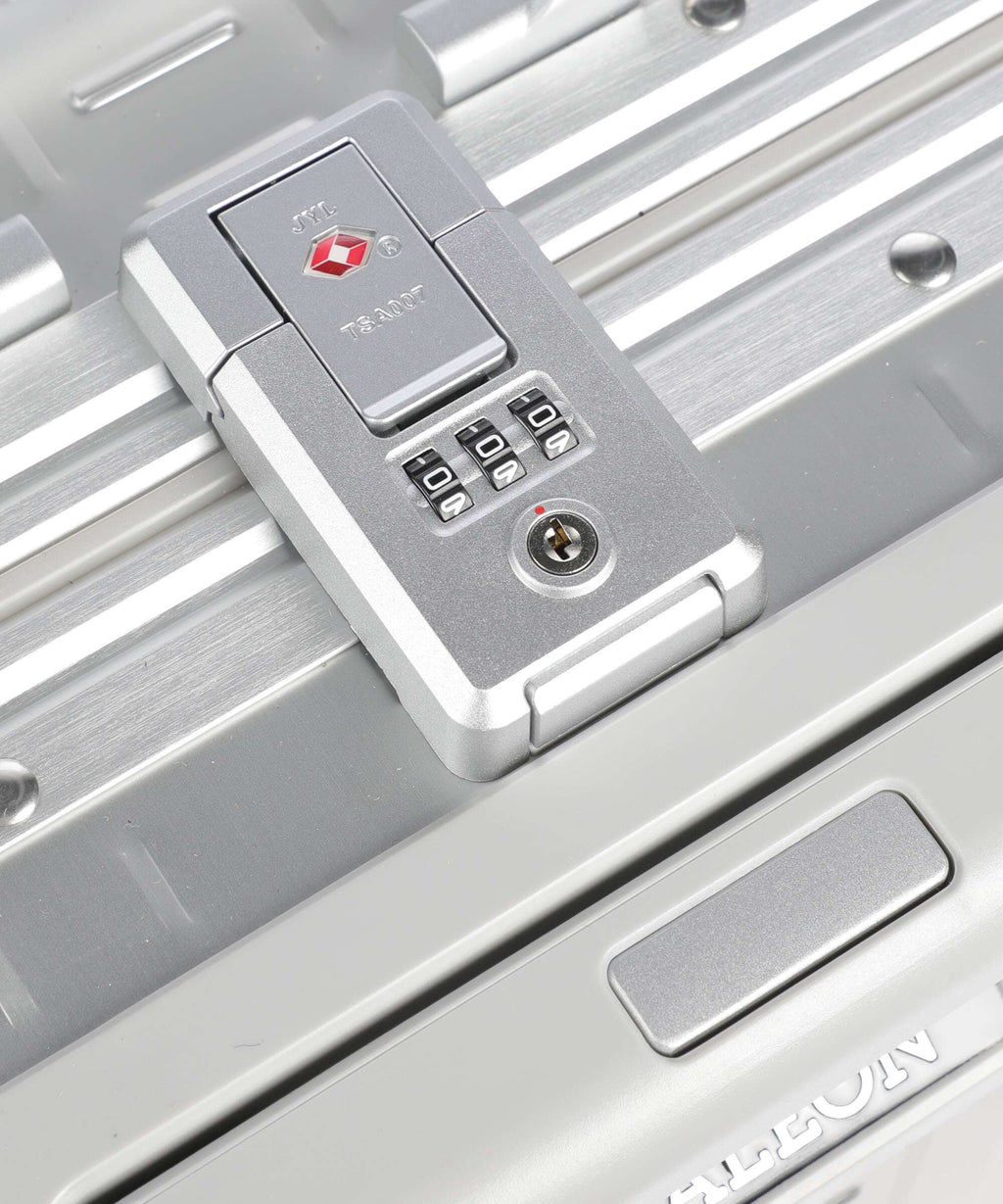 Aleon Classic 20 Vertical Business Spinner (4 wheels) platinum