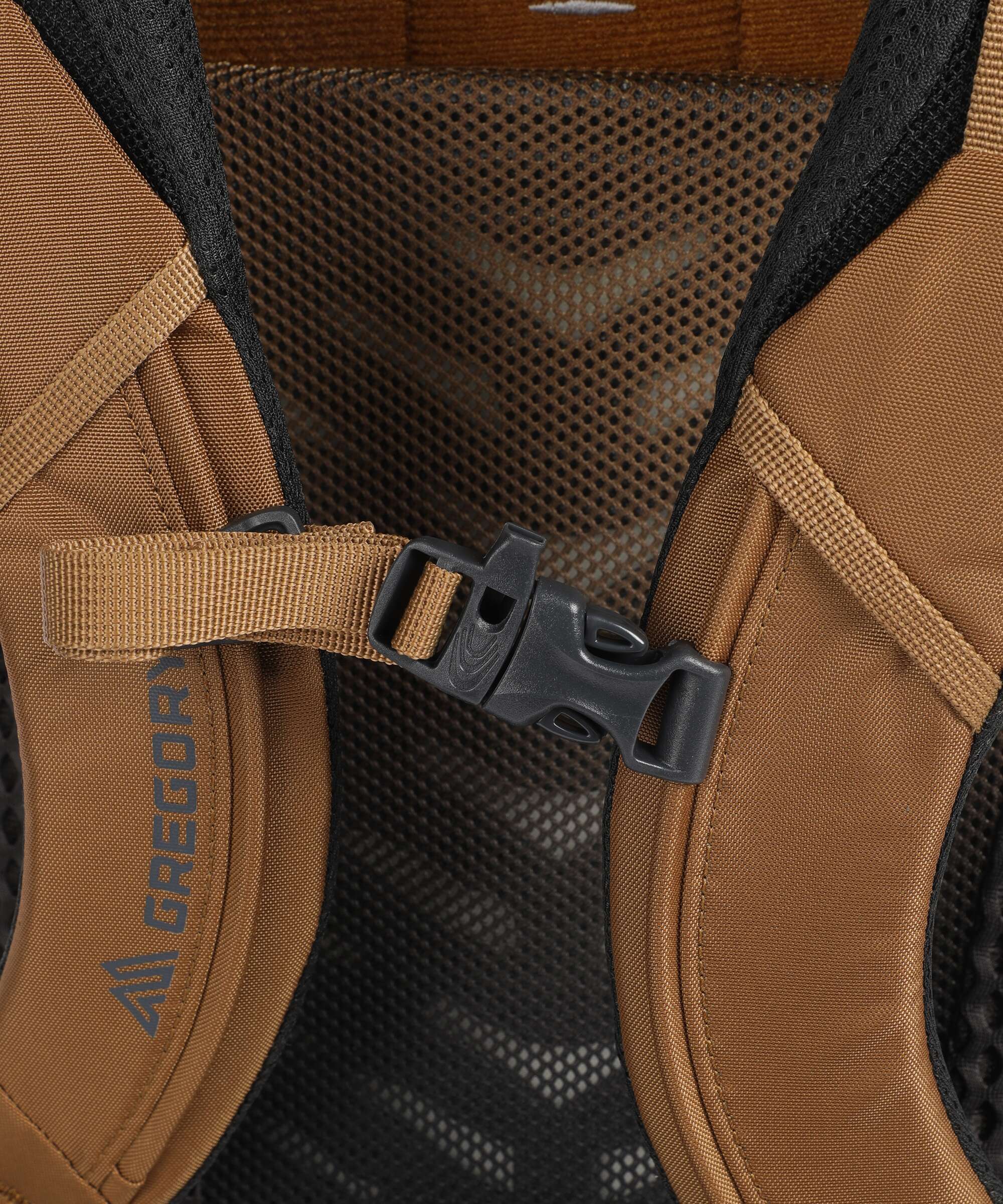 Gregory Stout 55 Trekking backpack sandstone