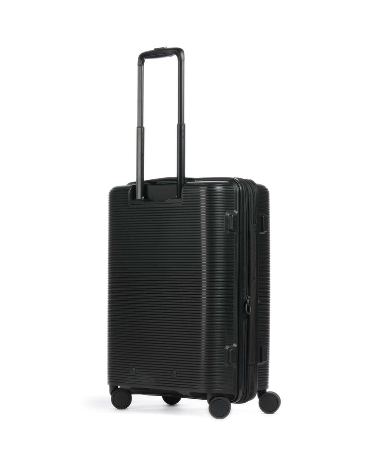 Echolac Forza S Spinner (4 wheels) black