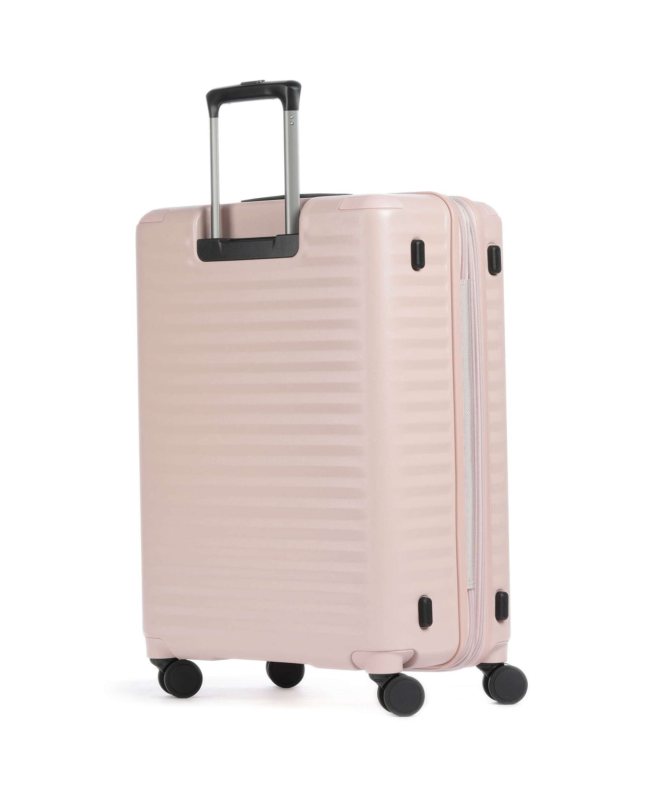 Echolac Celestra BLX M Spinner (4 wheels) pink