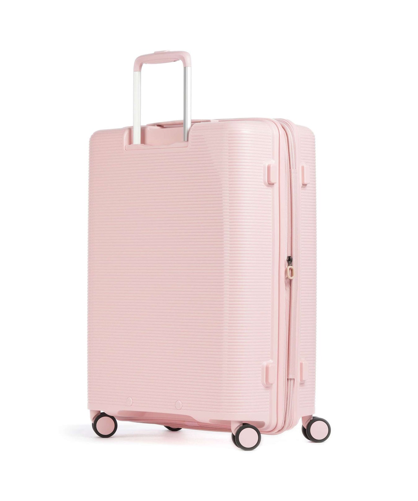 Echolac Forza M Spinner (4 wheels) pink