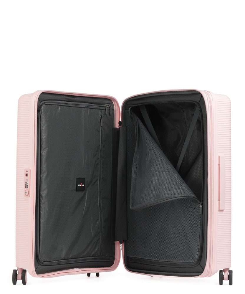 Echolac Forza M Spinner (4 wheels) pink