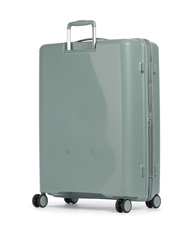 Echolac Forza L Spinner (4 wheels) sage leaf