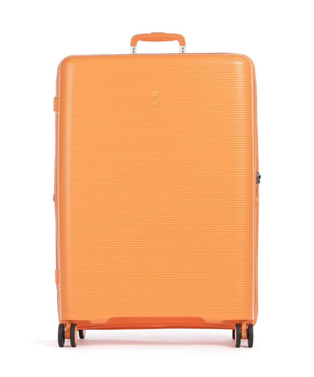 Echolac Forza L Spinner (4 wheels) apricot crush