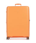 Echolac Forza L Spinner (4 wheels) apricot crush