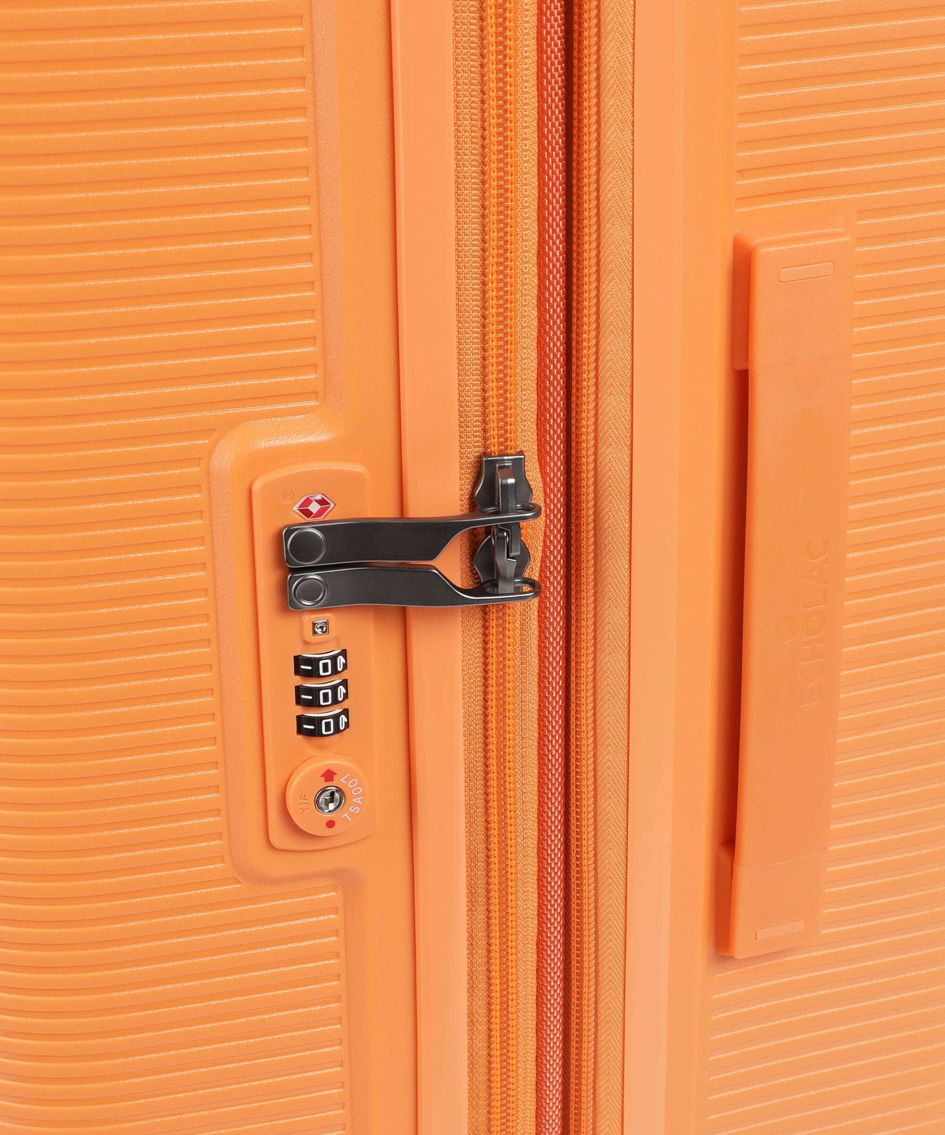 Echolac Forza L Spinner (4 wheels) apricot crush