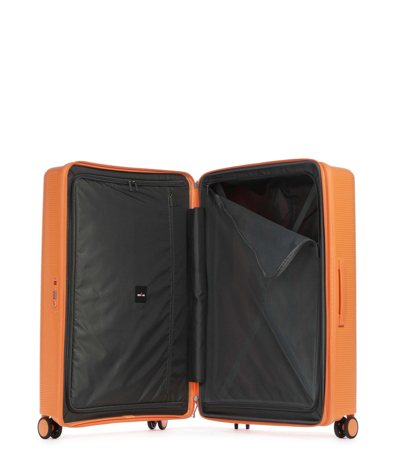 Echolac Forza L Spinner (4 wheels) apricot crush