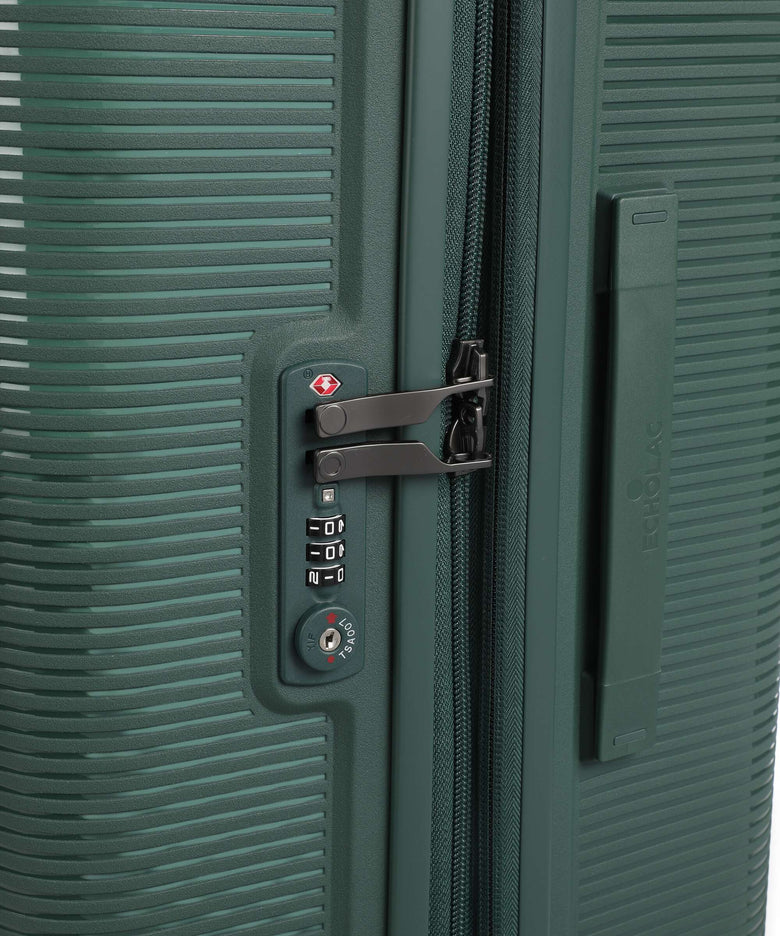 Echolac Forza L Spinner (4 wheels) pine green
