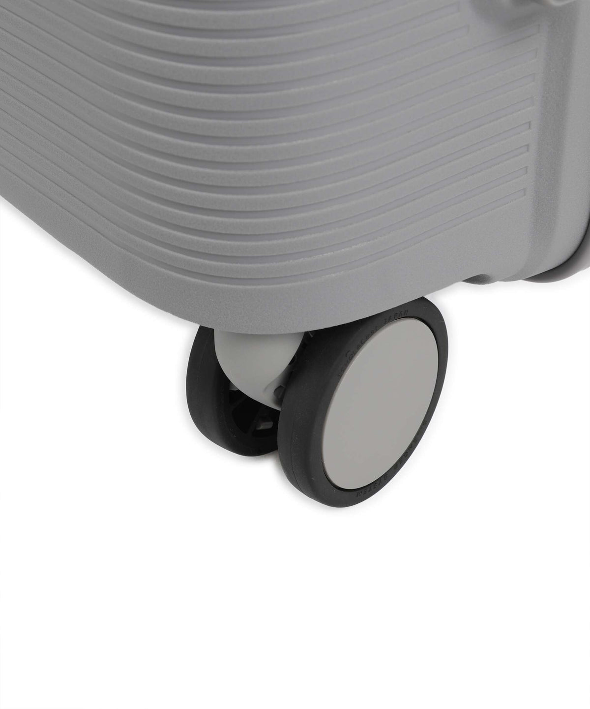 Echolac Forza M Spinner (4 wheels) arctic grey