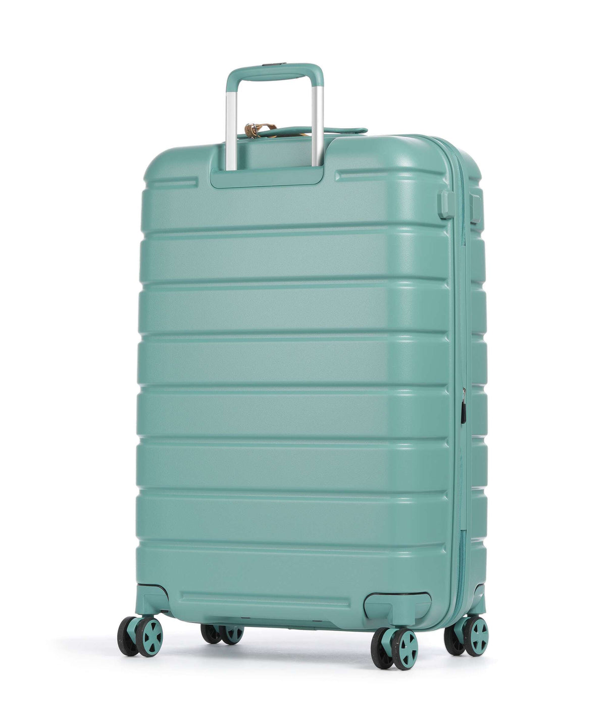 Roncato ReLife Spinner (4 wheels) salvia