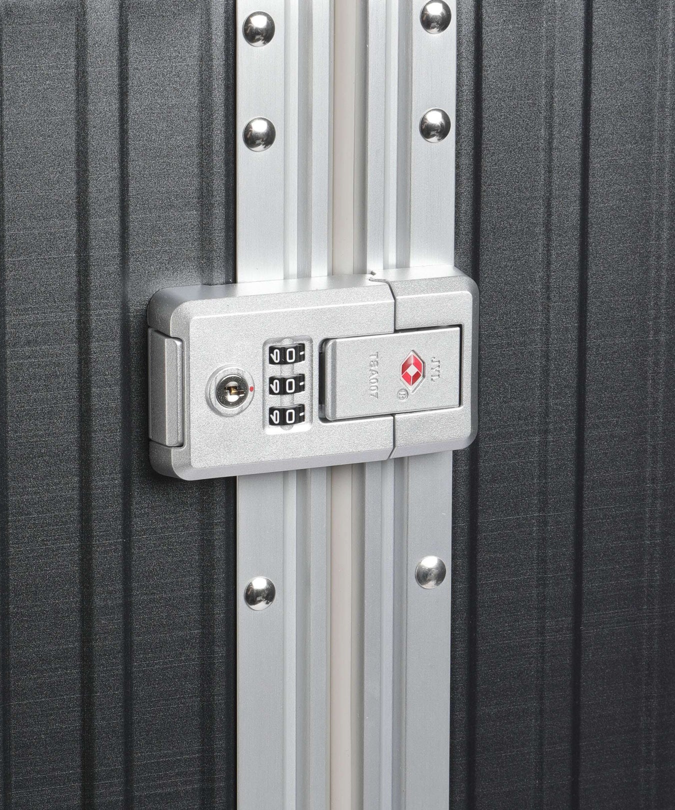 Aleon Fortis 30 Macro Traveler Spinner (4 wheels) onyxdust