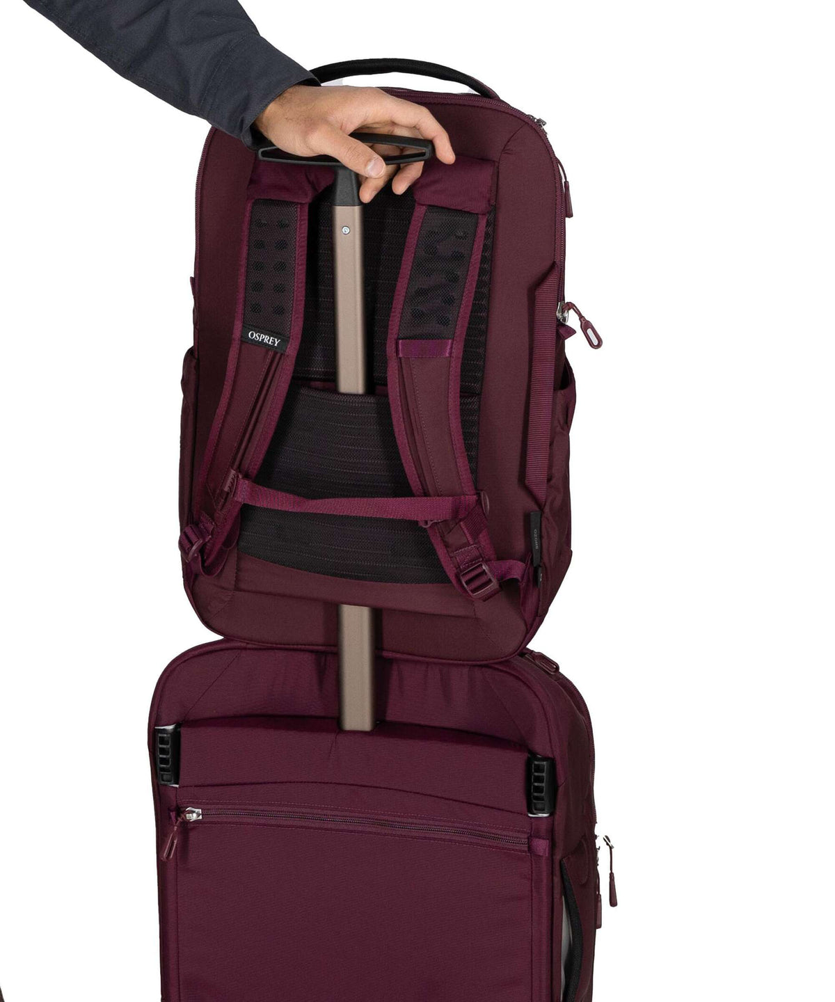 Osprey Ozone Backpack moody burgundy