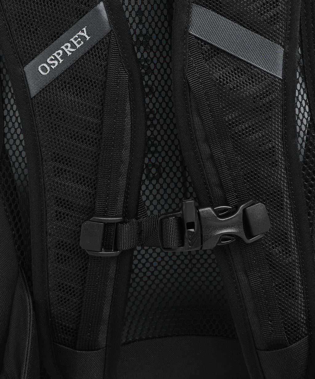 Osprey Hikelite 30 Hiking backpack silver lining