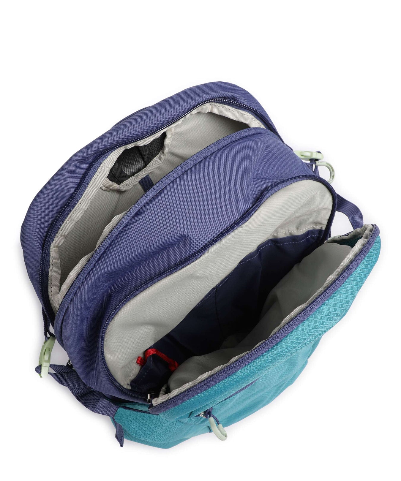 Osprey Daylite Plus Plus Backpack blue spikemoss/alkaline