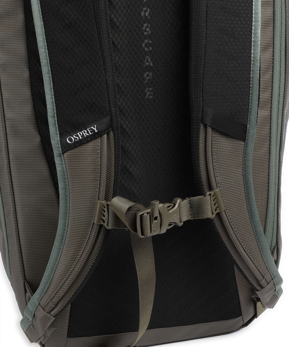 Osprey Transporter Rolltop backpack pine leaf/earl grey