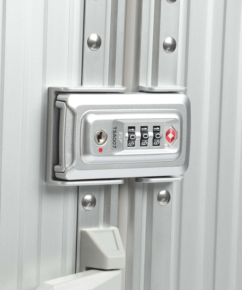 Aleon Domestic Carry-On Spinner (4 wheels) platinum